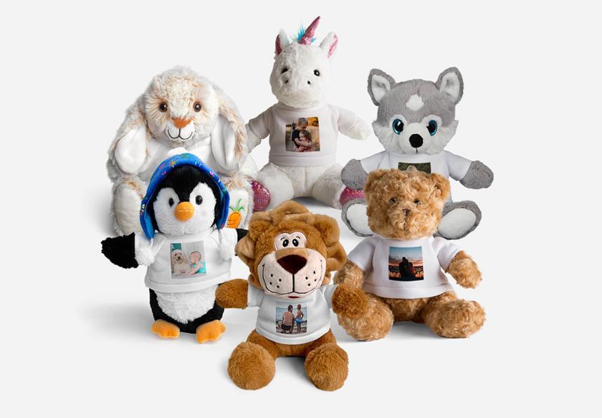 Custom Teddies Custom Teddies
