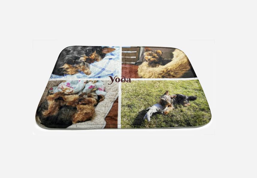 Pet Mat