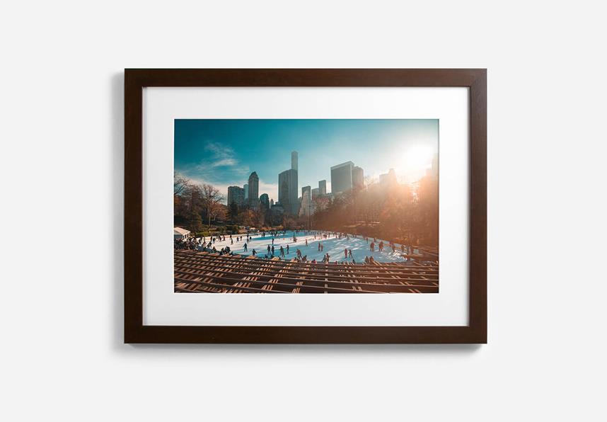  Professional Framed Prints