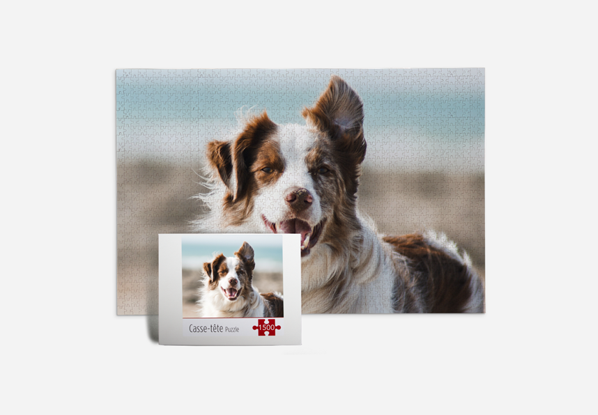 Photo Puzzle Photo Puzzle